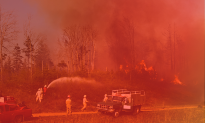 Ayuda Para Demandas De Incendios Forestales En Panhandle De Texas