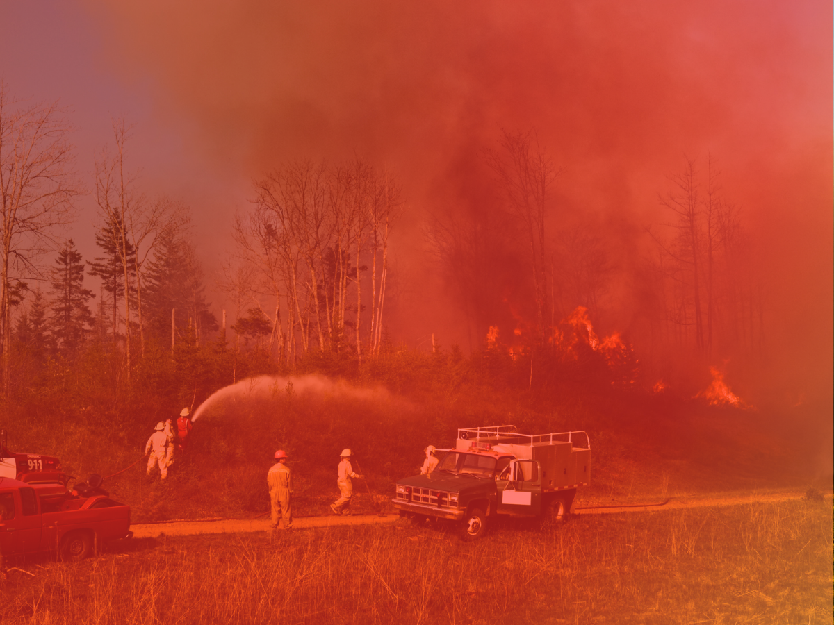Ayuda para demandas de incendios forestales en Panhandle de Texas