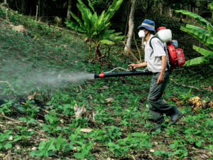 Veredicto Del Jurado Determina Que Bayer Debe Pagar 78 Millones De Dólares En El Juicio Contra Roundup, Imagen De Agricultor Rociando Herbicida