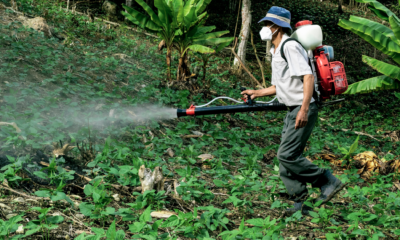 Veredicto Del Jurado Determina Que Bayer Debe Pagar 78 Millones De Dólares En El Juicio Contra Roundup, Imagen De Agricultor Rociando Herbicida